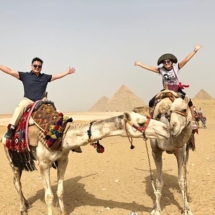 Camels, Pyramids, Egypt
